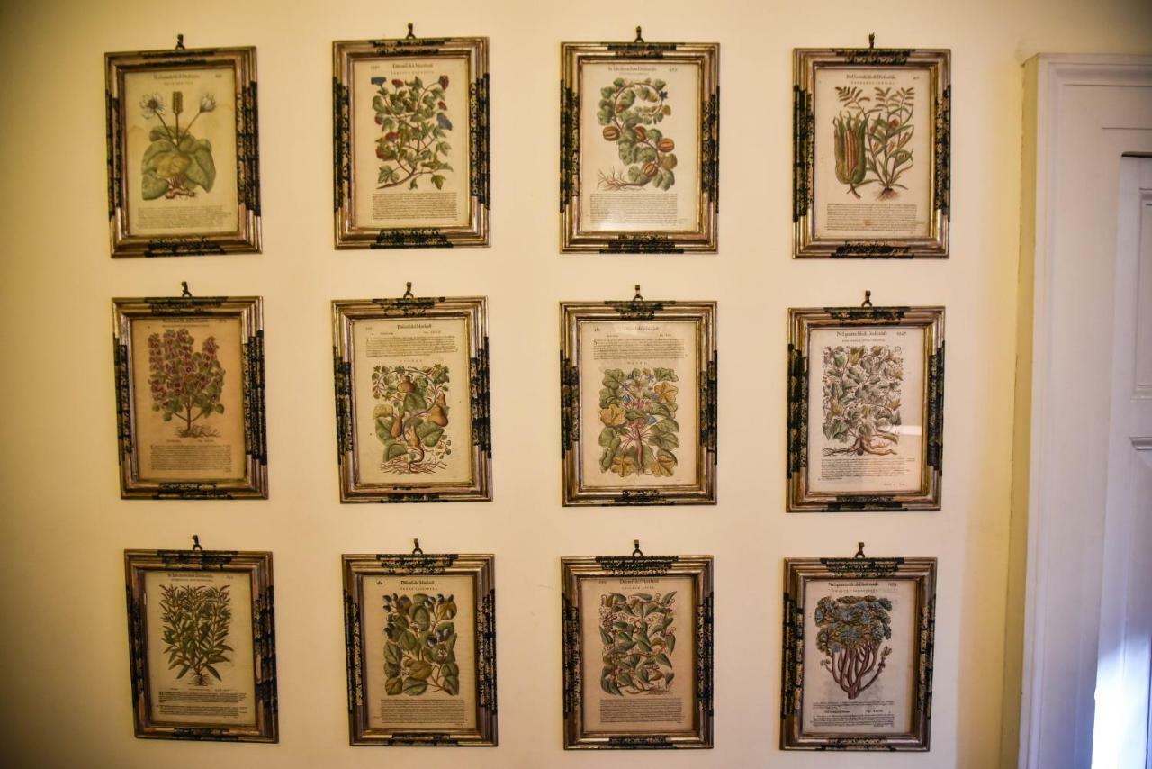Stylish Apartment In Central Rome "Centro Storico" Eksteriør billede